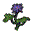 Click image for larger version

Name:	BlackLotusSource.gif
Views:	421
Size:	1.2 KB
ID:	248567